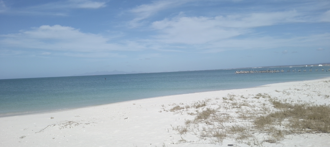Playa La Salina Vista 1